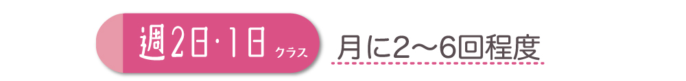 週2日・1日クラス（月に2～6回程度）